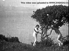 Vintage Nudes: A Sensual Encounter with Natural Tits and Bush