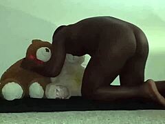 Tiga beruang dengan warna kulit yang berbeza menikmati threesome berbulu dengan mainan